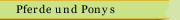 Pferde und Ponys